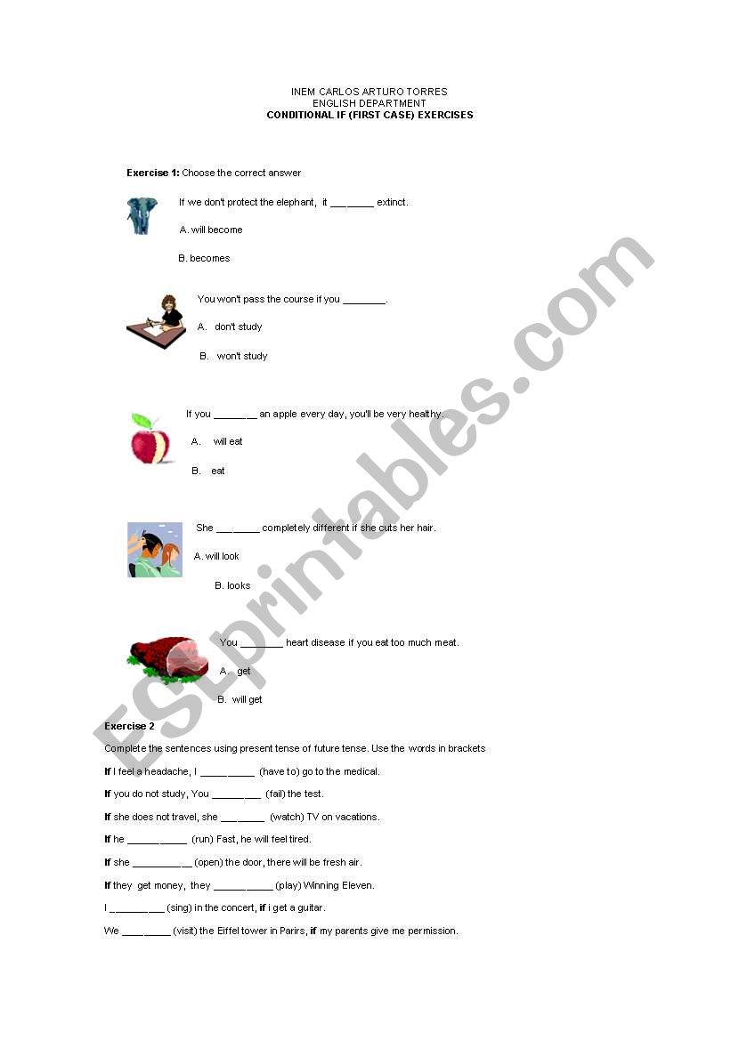 Conditional If (First Case) worksheet