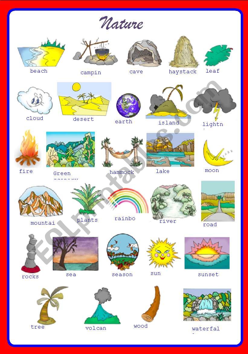 Pictionary on Nature ** fully editable