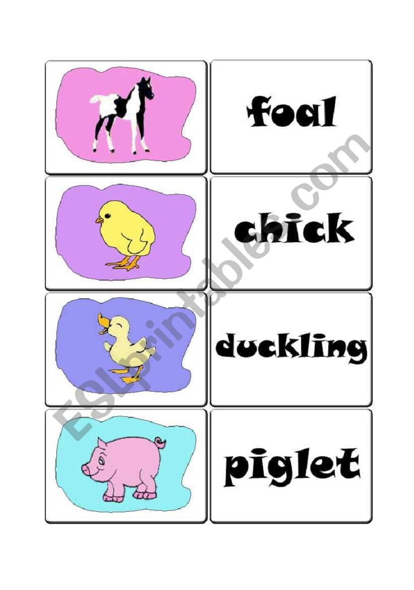 Farm animals flashcards worksheet