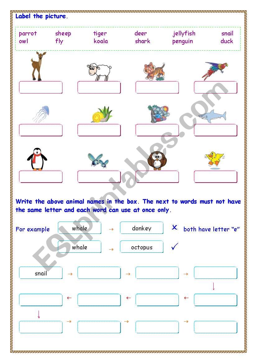 animals worksheet