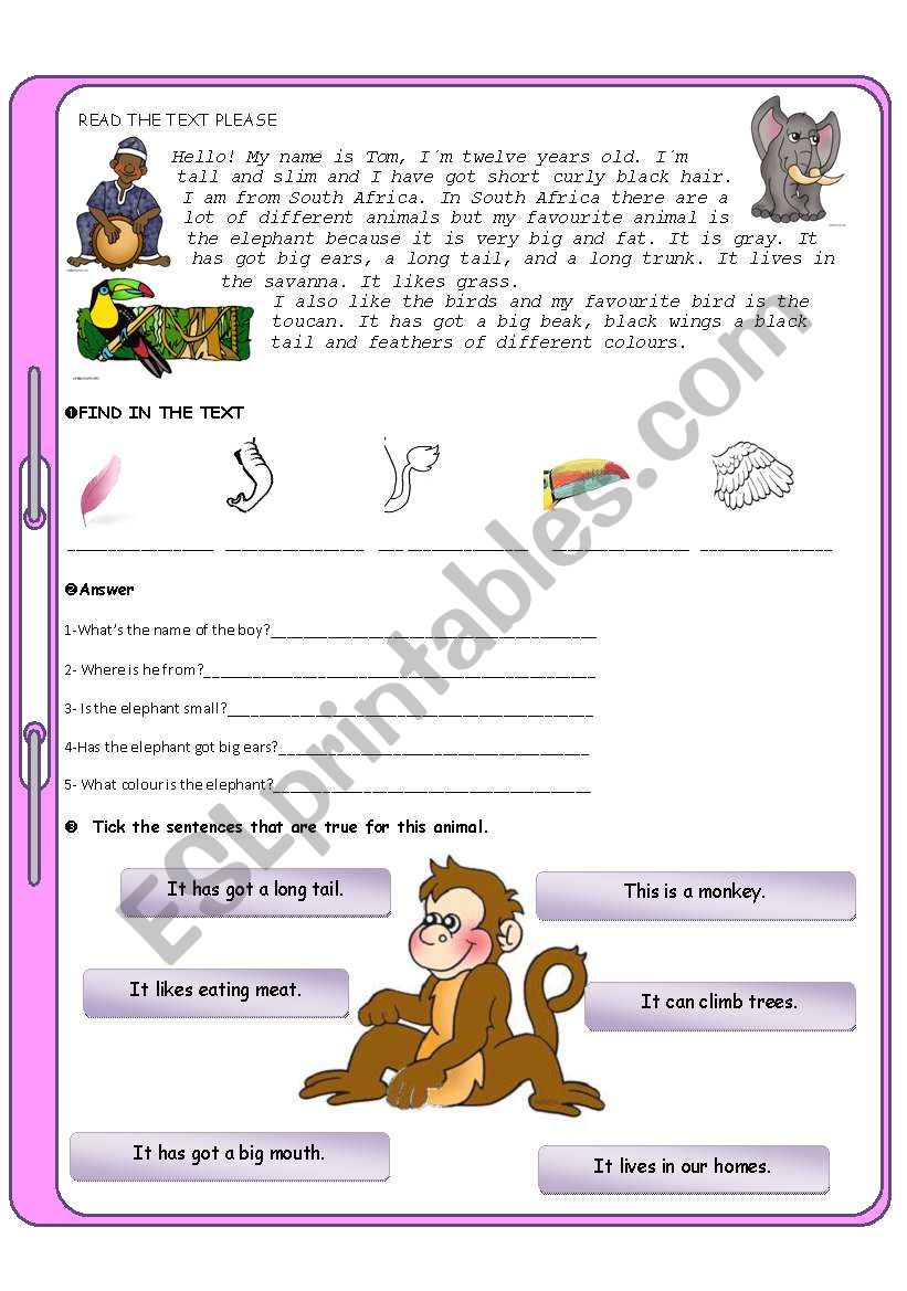 Animals test for elementary students