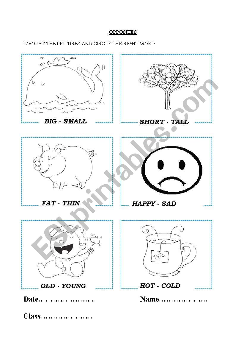 opposites worksheet