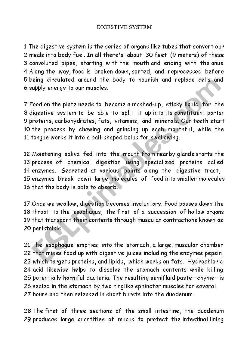 DIGESTIVE SYSTEM. READING worksheet