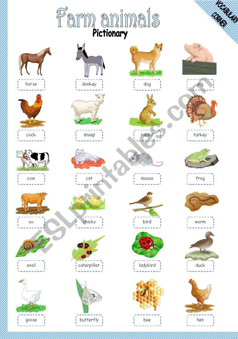 FARM ANIMALS - PICTIONARY worksheet