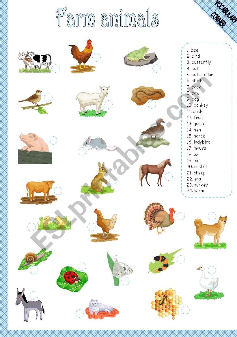 FARM ANIMALS - MATCHING worksheet