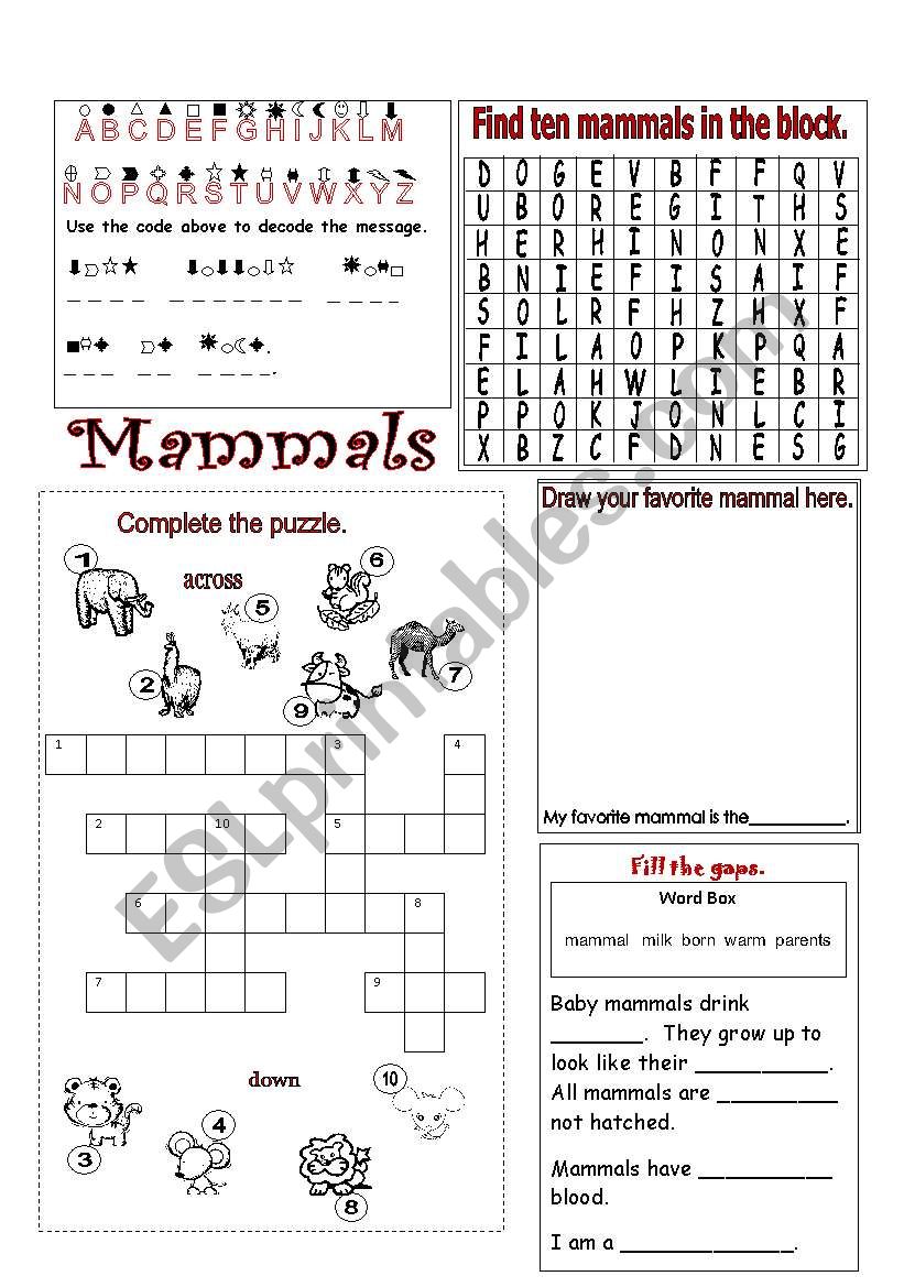 Types of Animals: Mammals worksheet