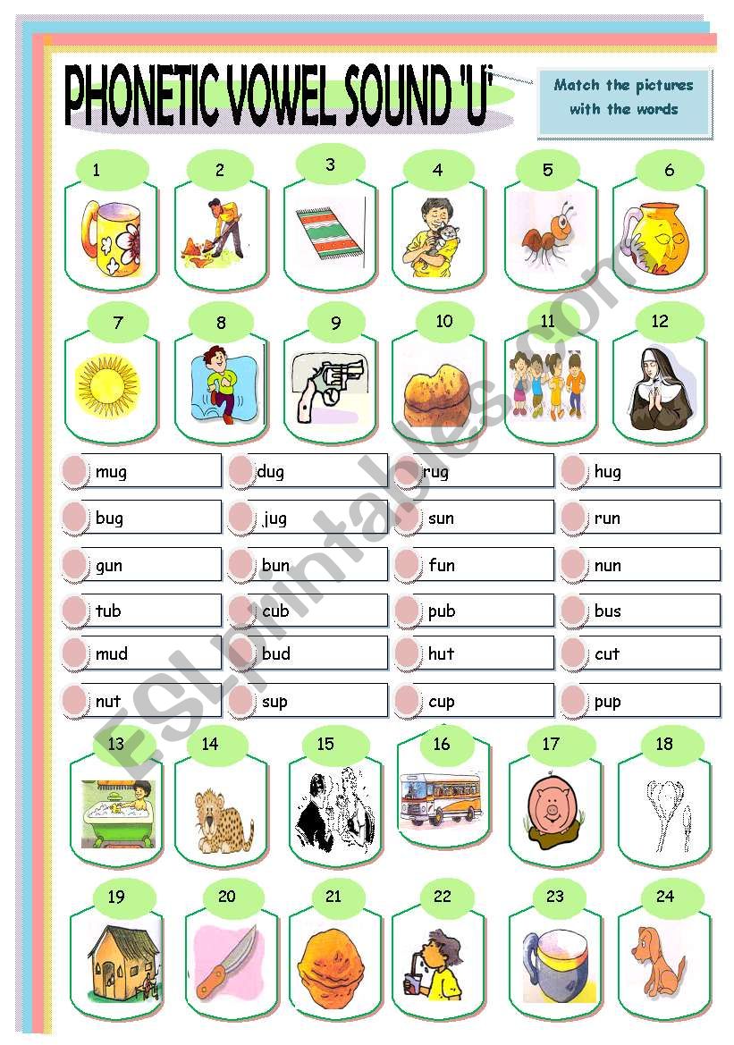 Phonetic: vowel u  : 5b (matching)