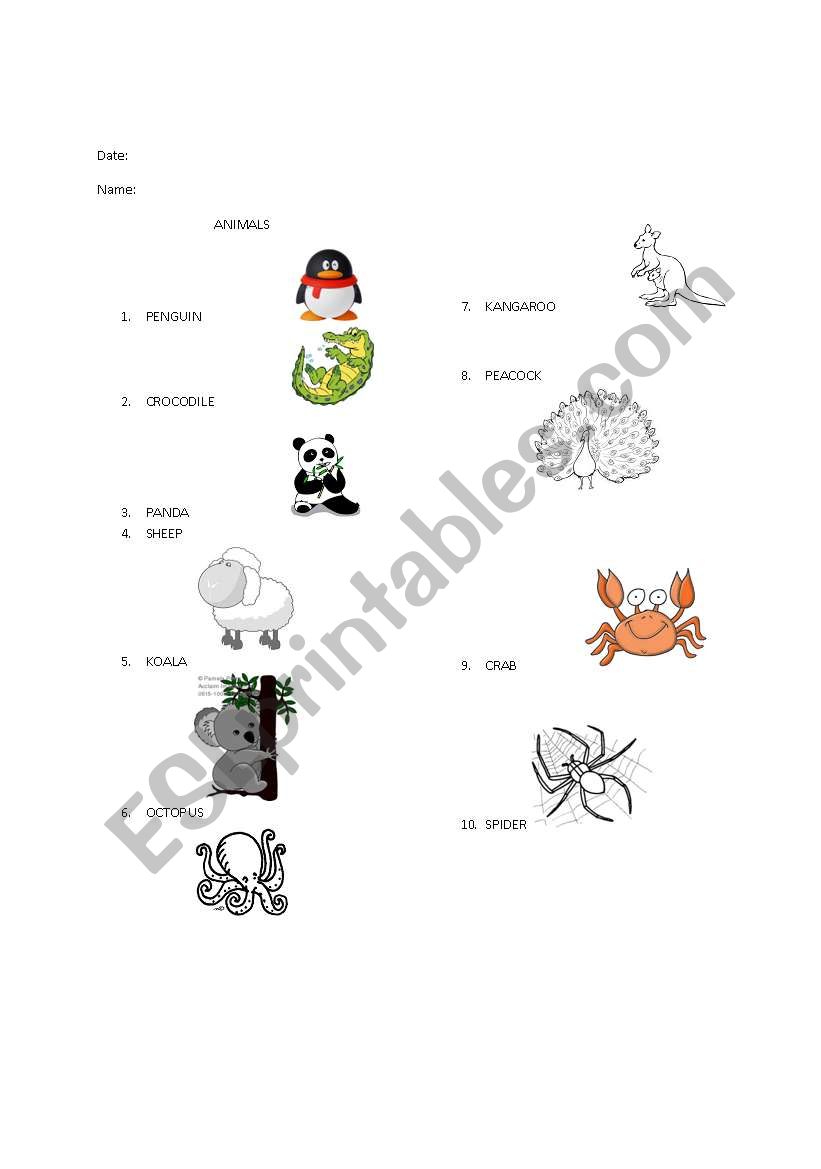 10 animals worksheet