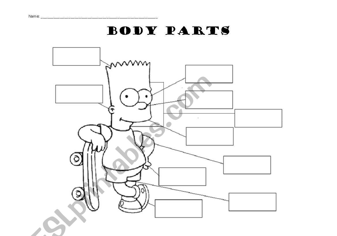 Body parts The Simpsons worksheet
