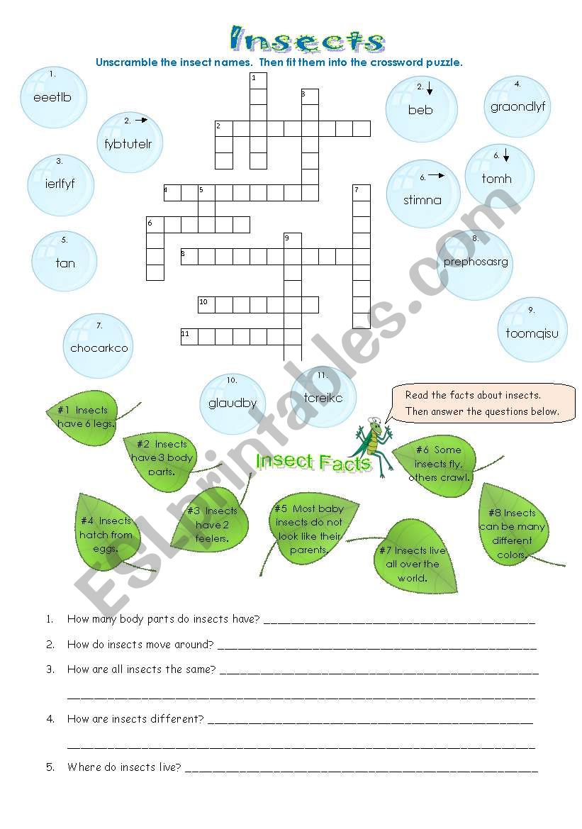 Types of Animals:  Insects worksheet