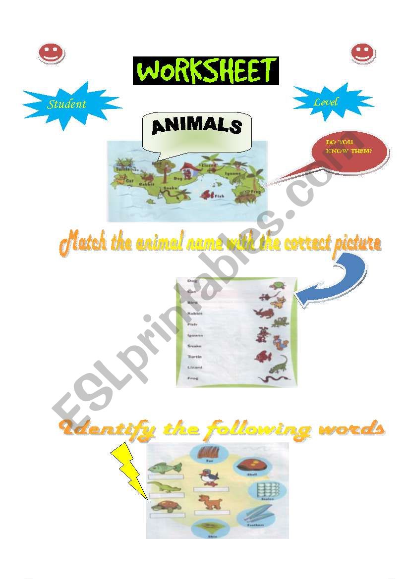 Animals worksheet