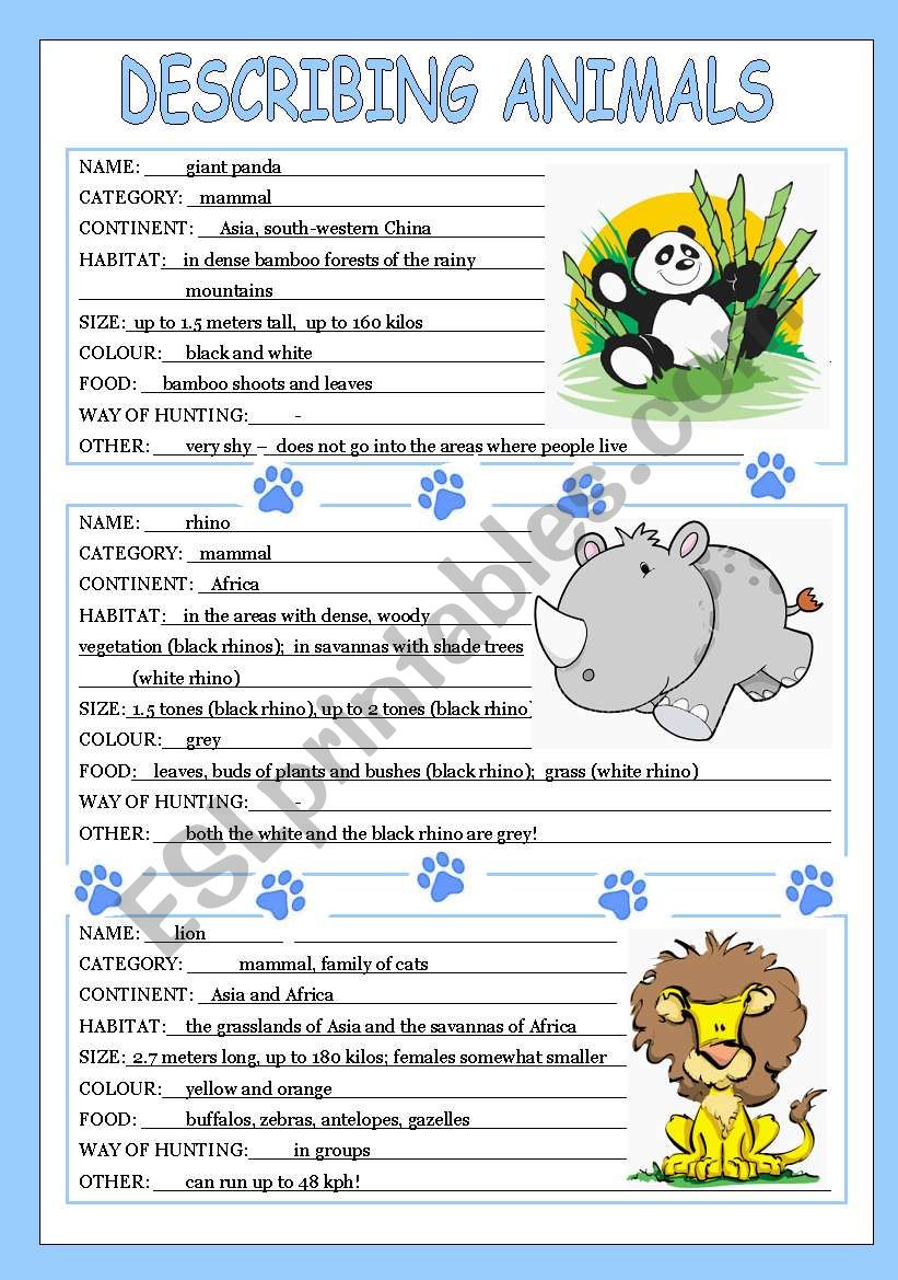 describing animals 3/3 worksheet