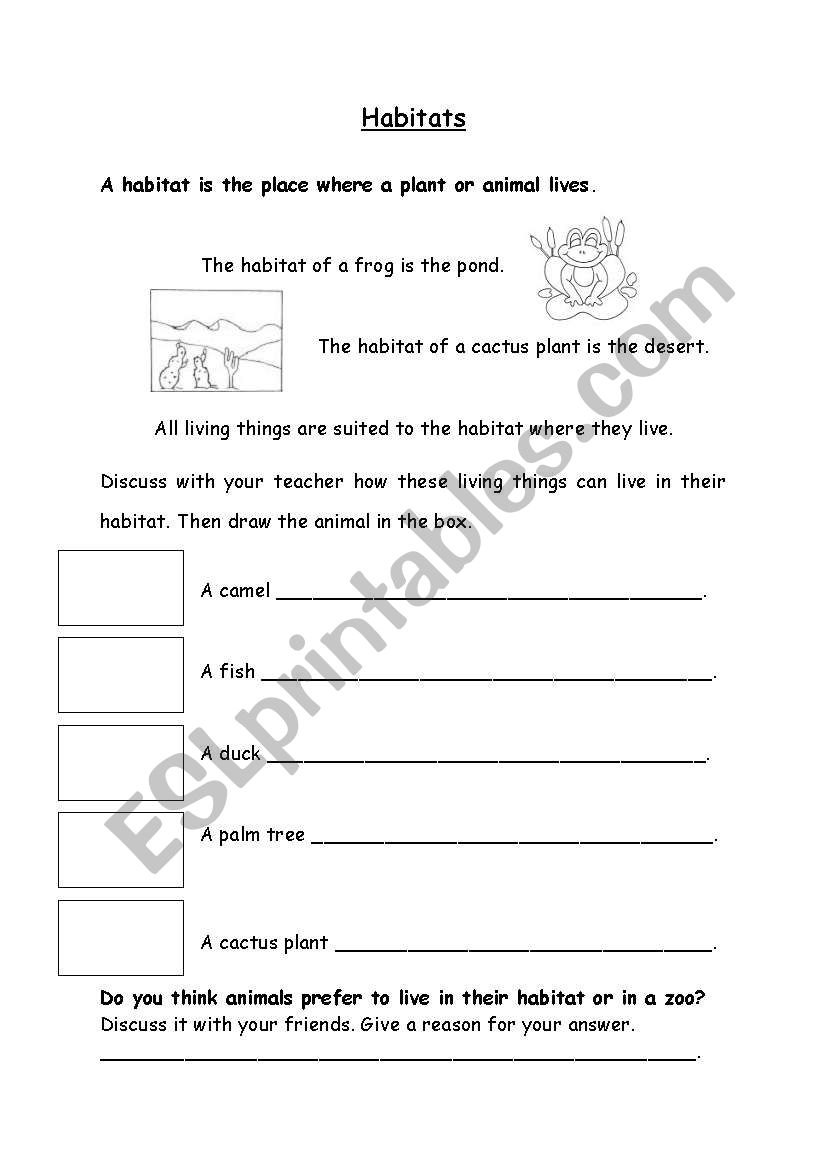 animals and  plants habitats worksheet