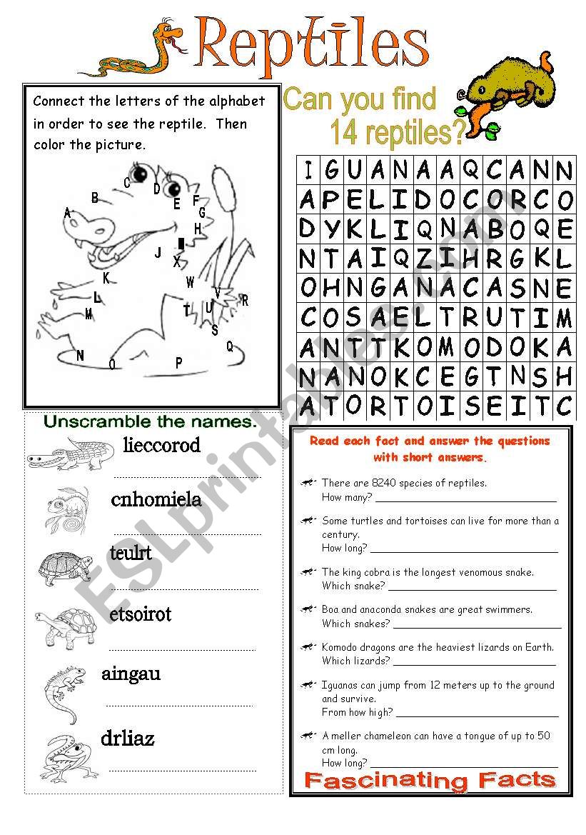 Types of Animals: Reptiles worksheet