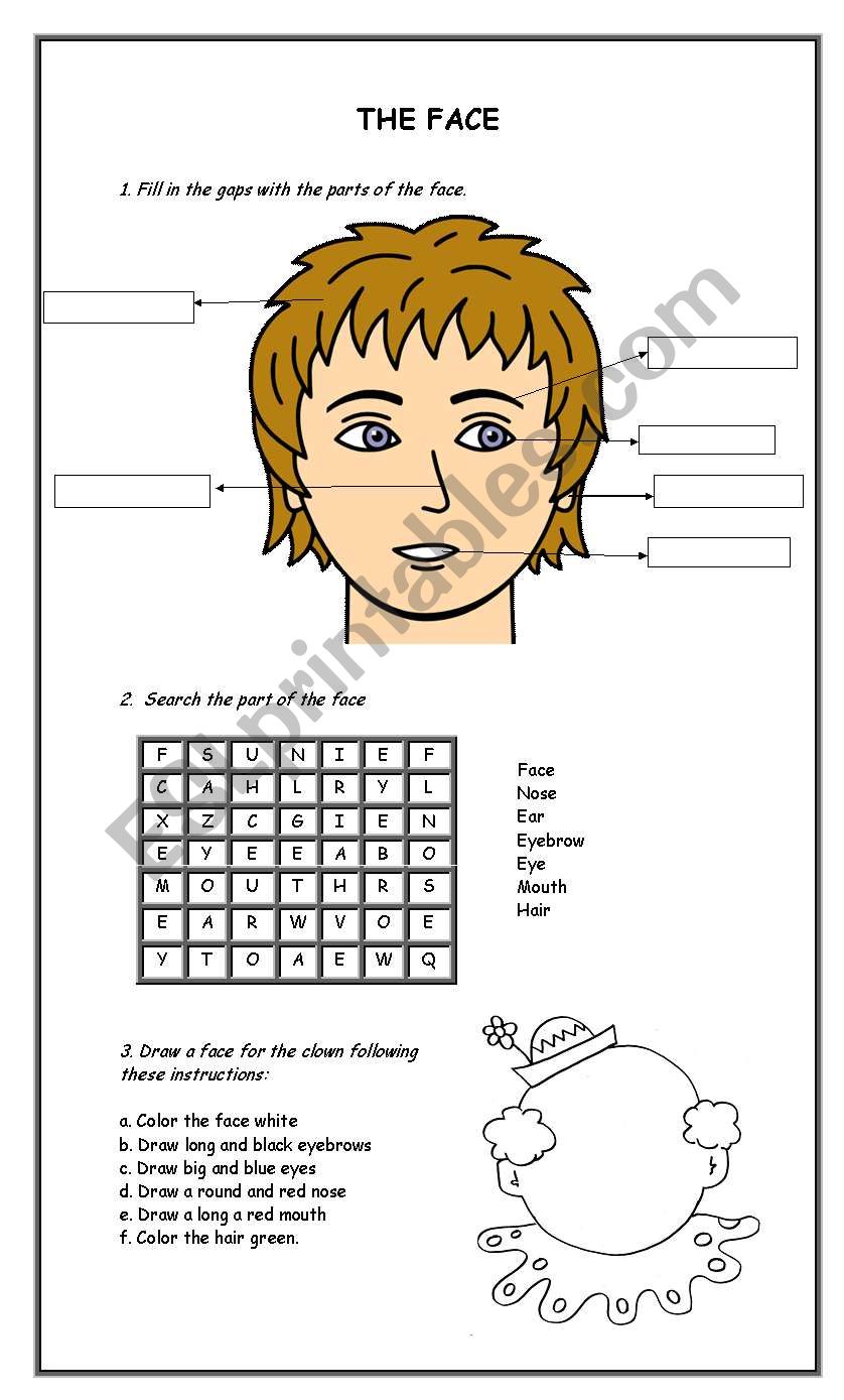The face worksheet