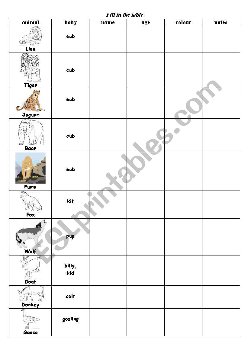 Zoo Animals worksheet