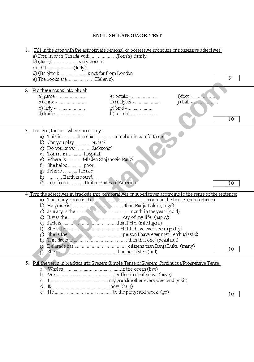 Basic Grammar Test worksheet