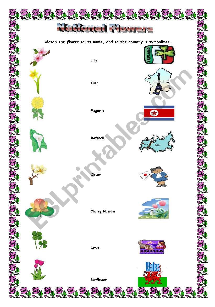 National flower Activity worksheet