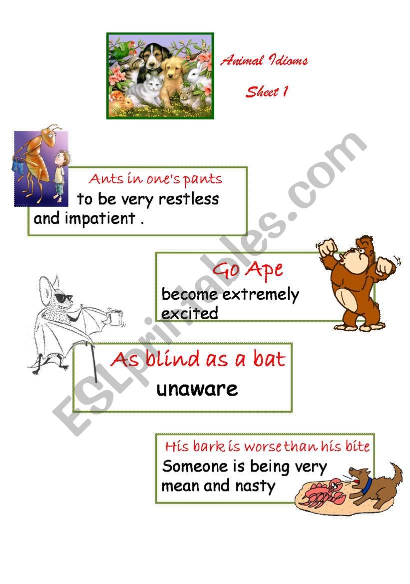 Animal idioms 1 worksheet