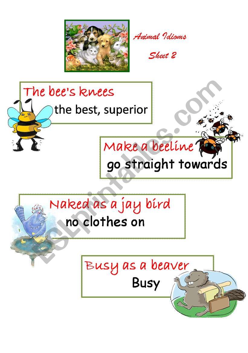 Animal Idioms 2 worksheet