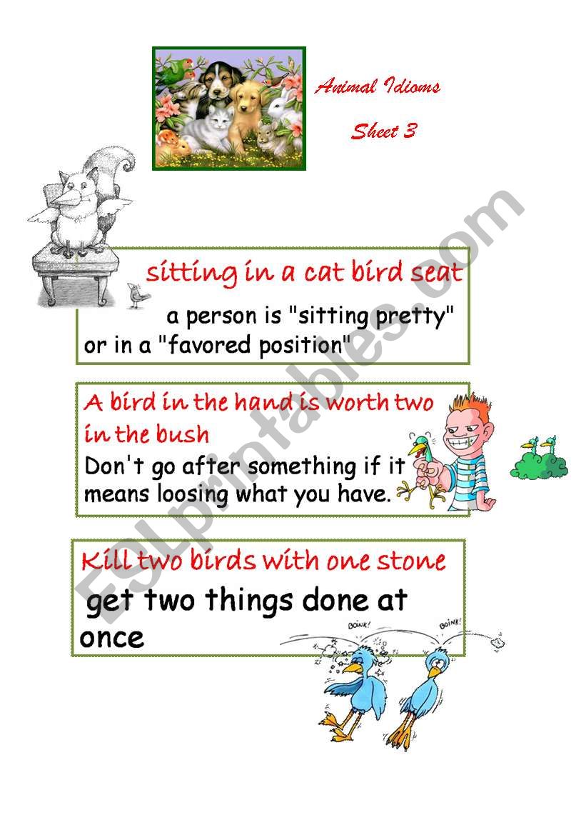 Animal Idioms 3 worksheet