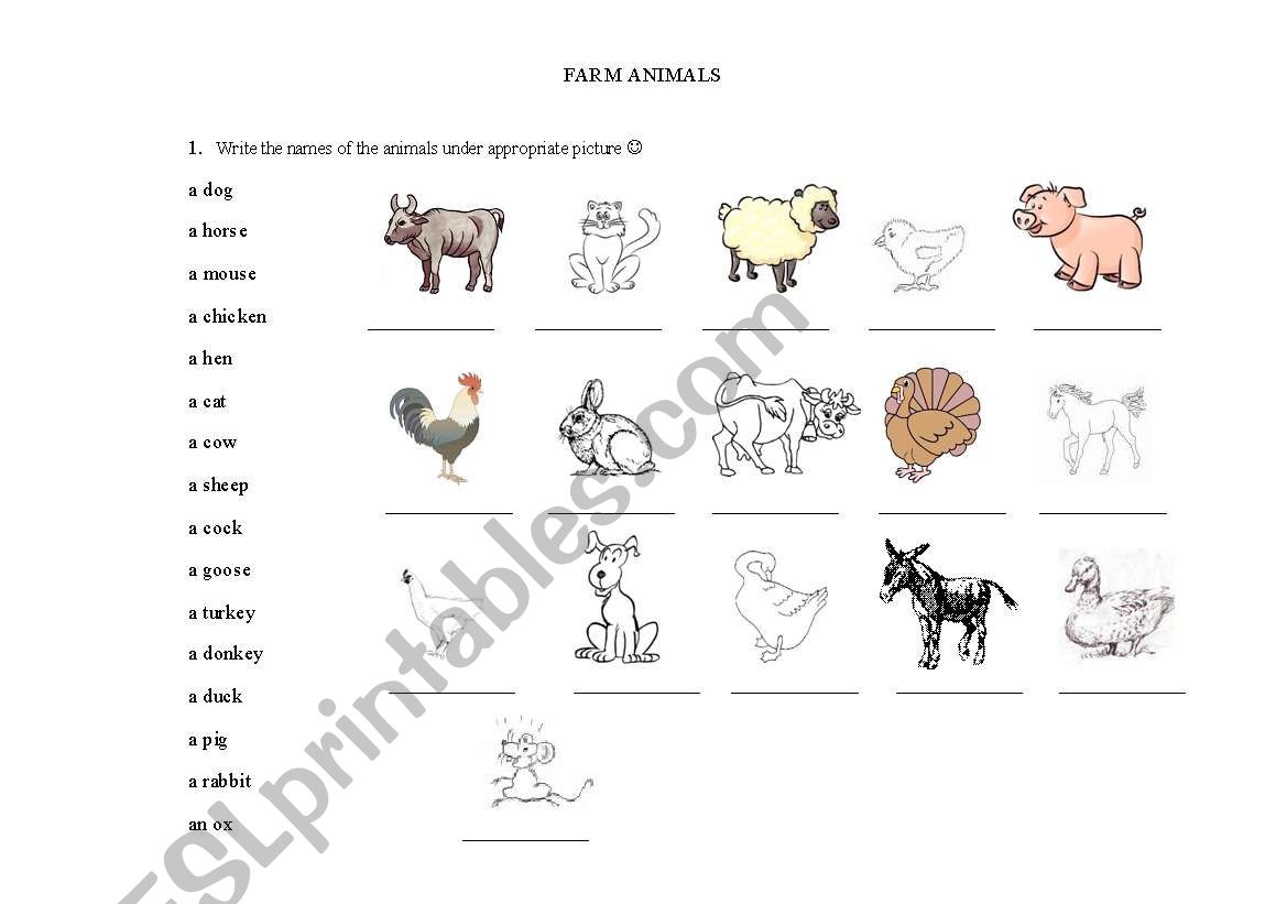 Farm animals worksheet