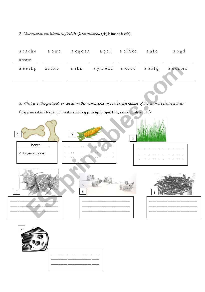 Farm animals and their food worksheet