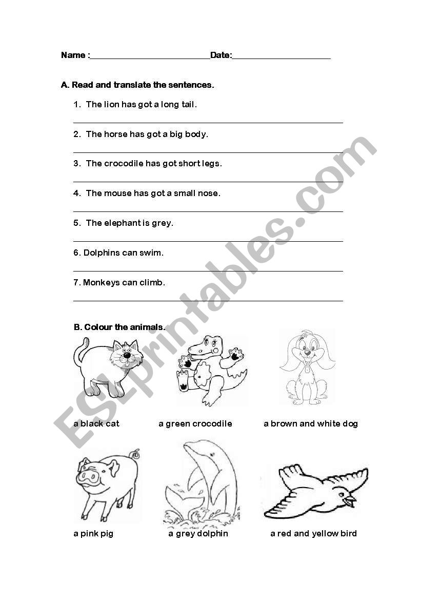 Describing animals worksheet