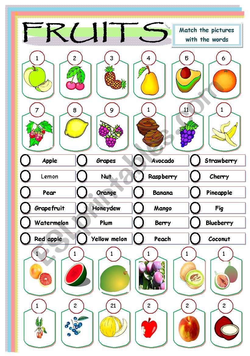 FRUITS worksheet