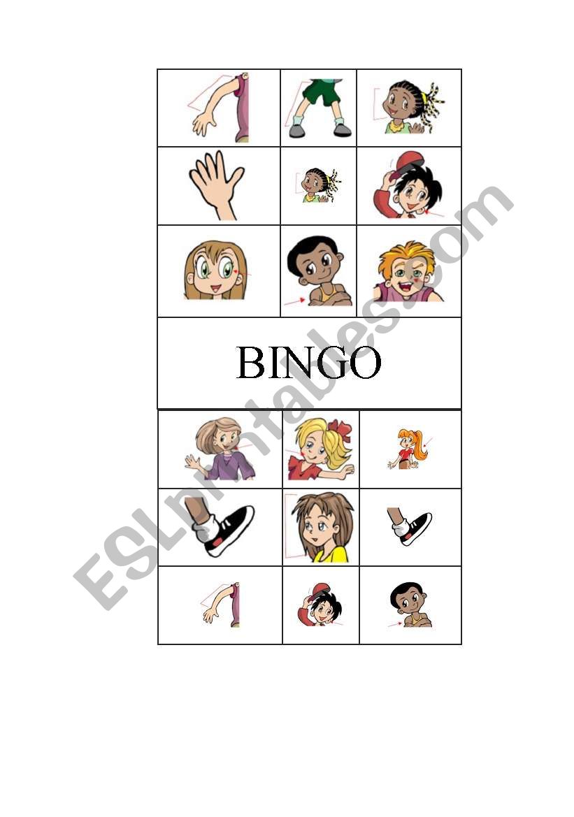 Parts of the body -Bingo worksheet