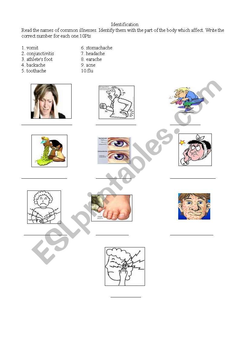 Disease and illness worksheet