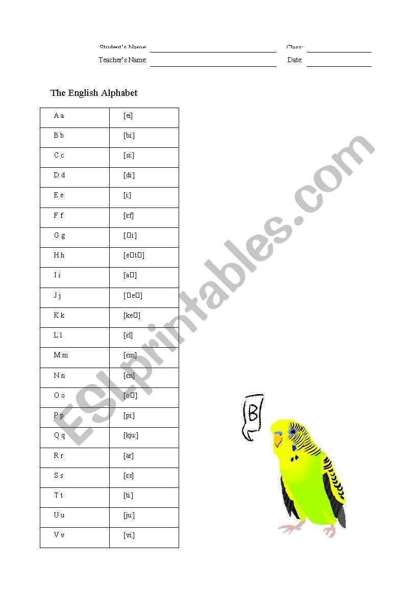 The Alphabet worksheet