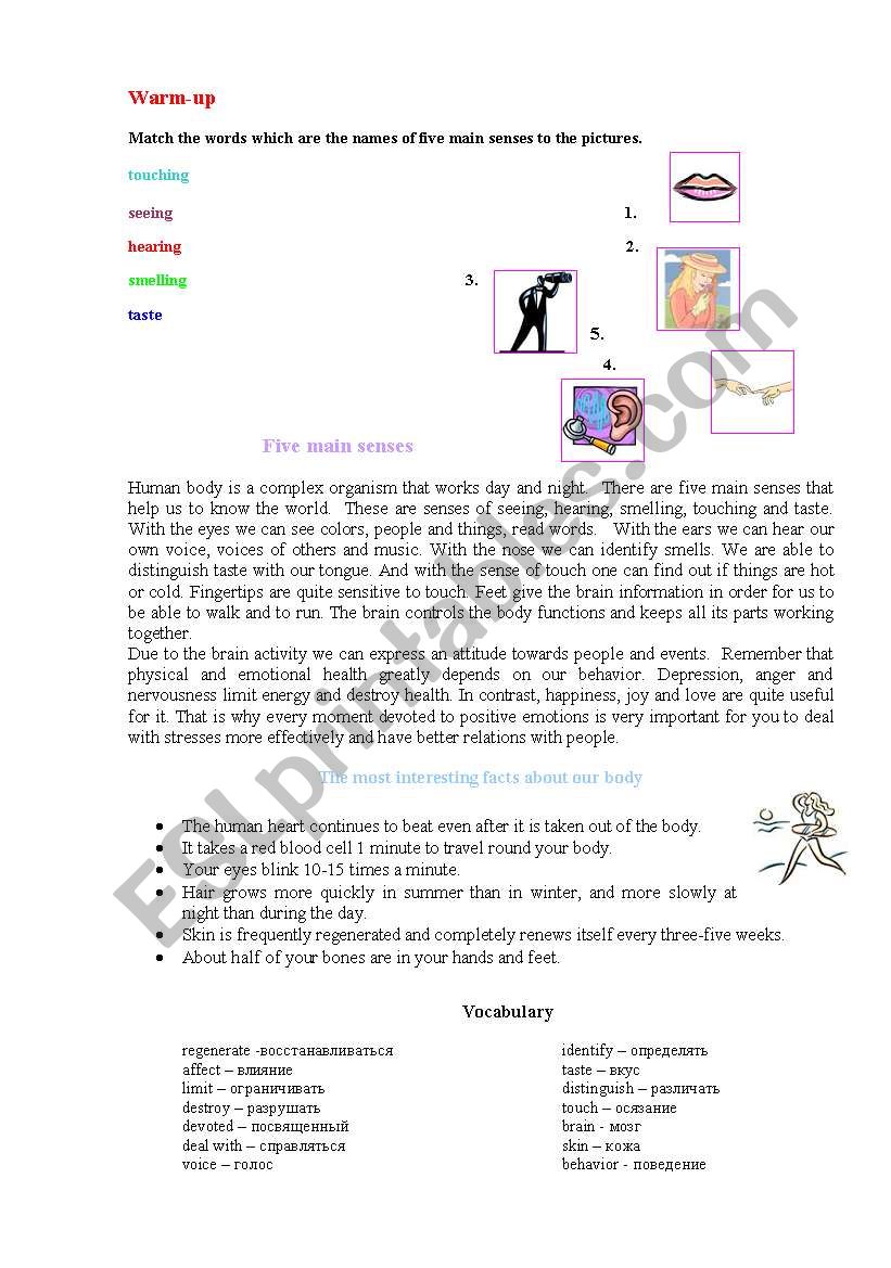 Five main senses worksheet