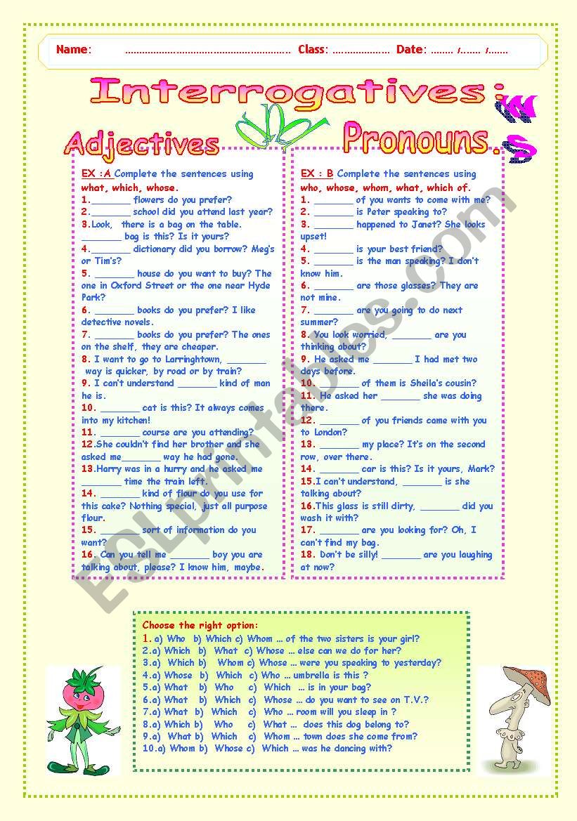 INTERROGATIVES :  ADJECTIVES  AND  PRONOUNS.