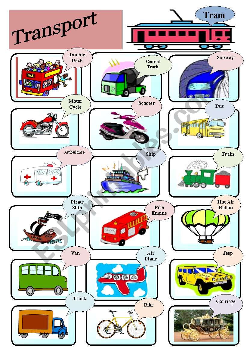 TRANSPORT 1 of 3 worksheet