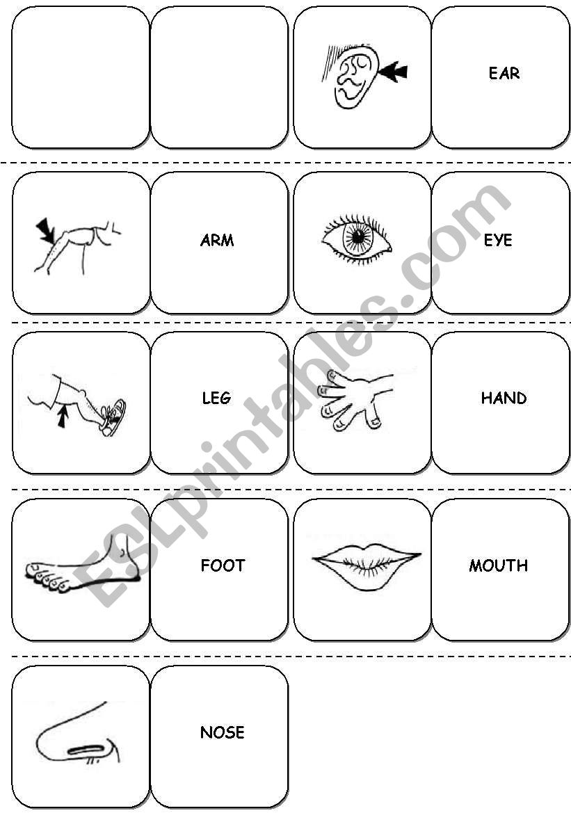 Parts of the body - DOMINOES + DICE (B&W VERSION ) + Rules (4 pages)