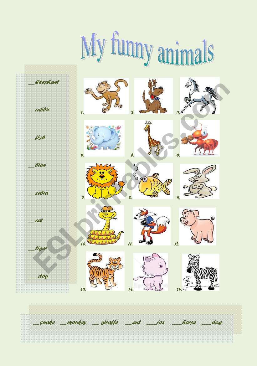 my funny animals worksheet