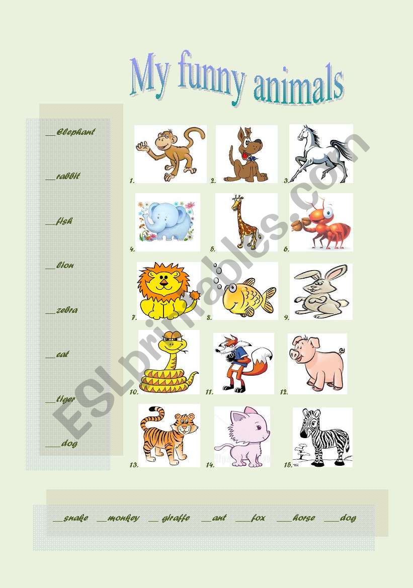 my funny animals worksheet