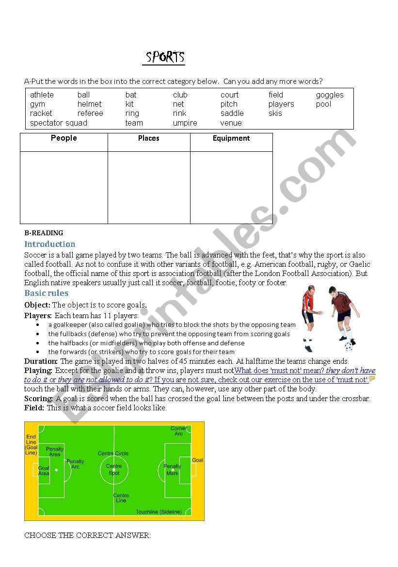 sports worksheet
