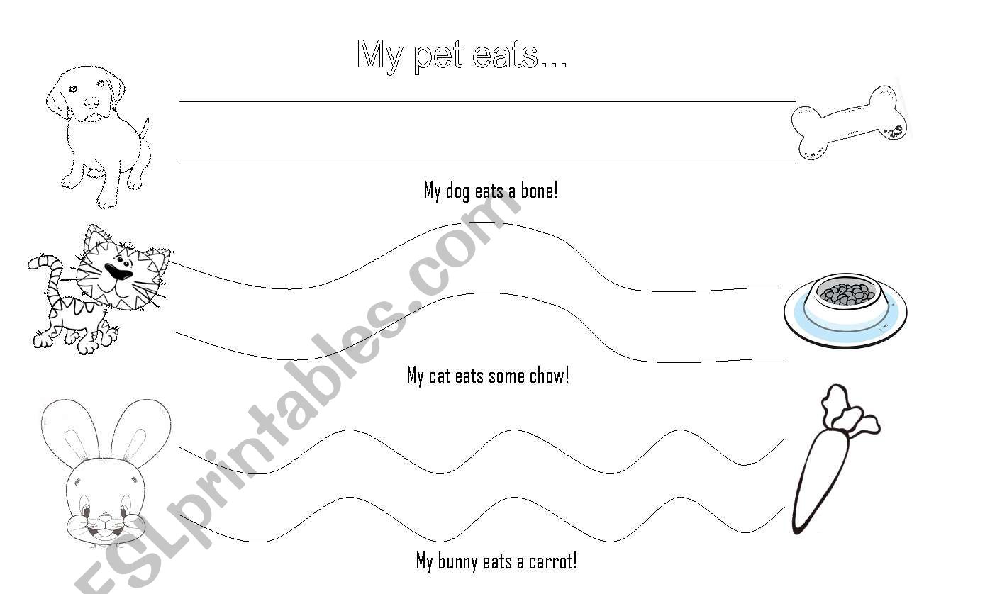 What my pets eat! worksheet
