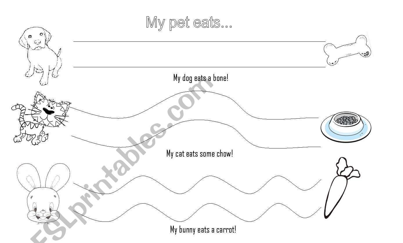 What my pets eat! worksheet