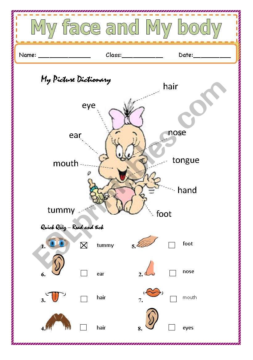 My face and My body worksheet