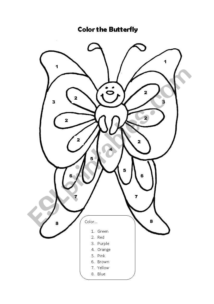 Coloring the butterfly worksheet
