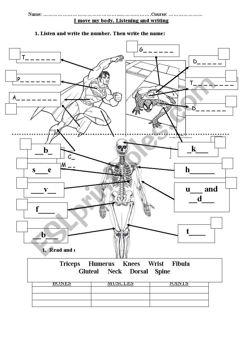 Muscles and Sciences worksheet