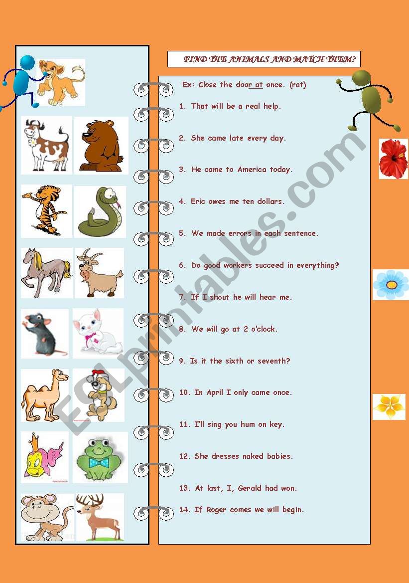 animals worksheet