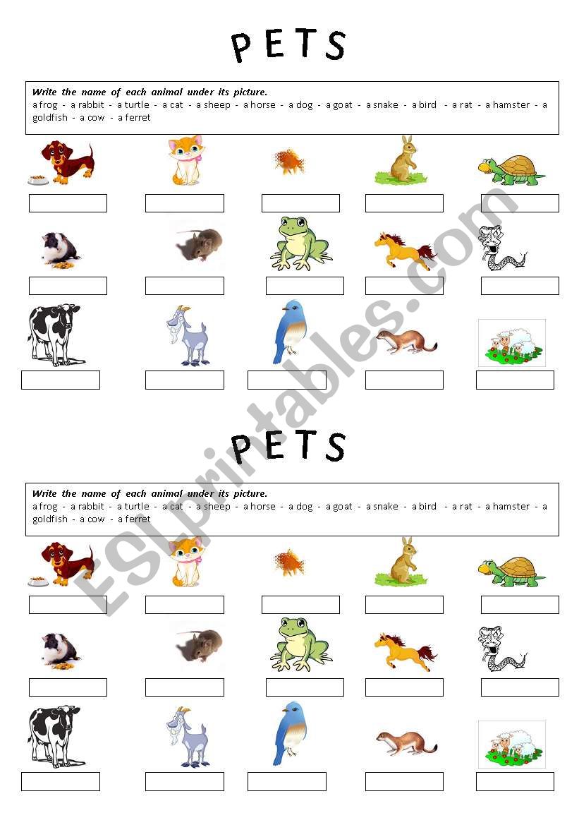 PETS worksheet