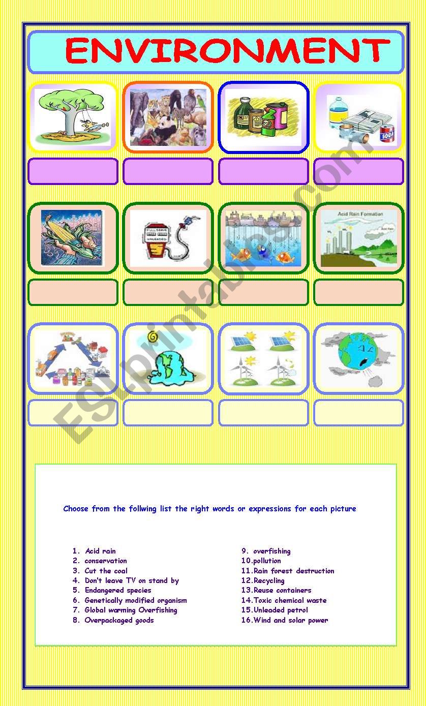 environment worksheet