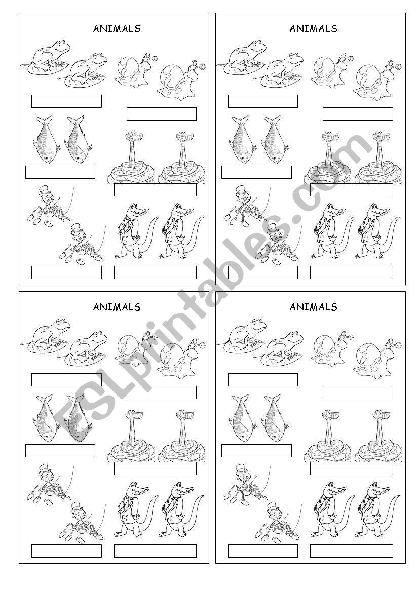 animals worksheet