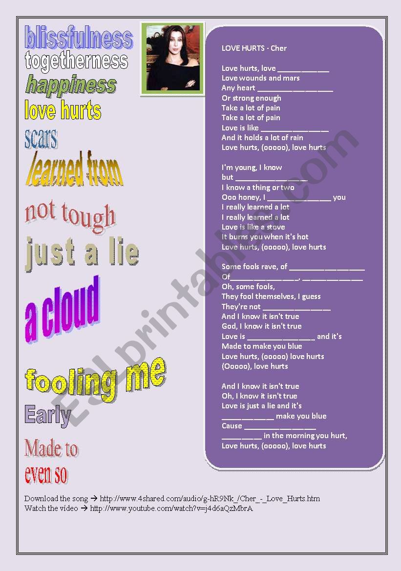 SONG: CHER - LOVE HURTS worksheet