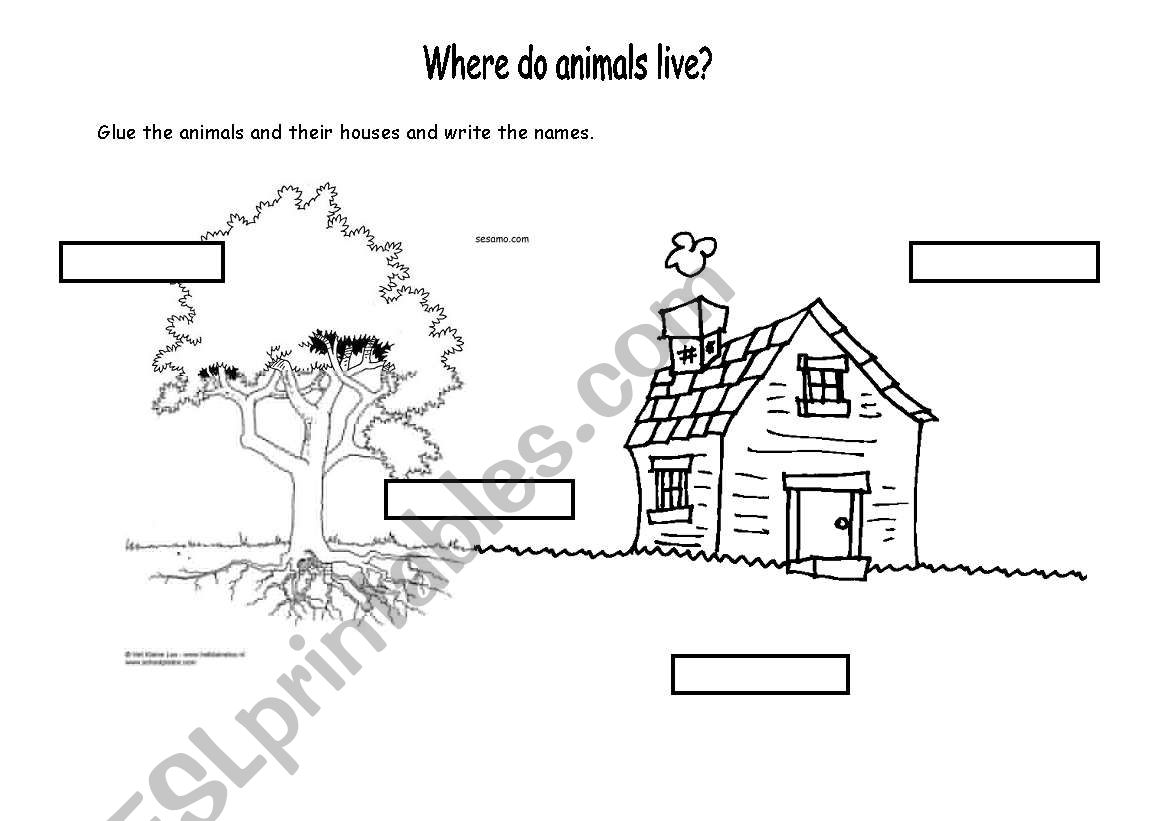 Where do animals live? worksheet